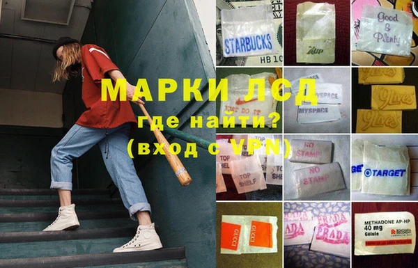 бошки Алзамай