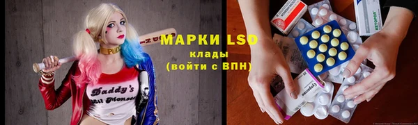 сатива Алексин