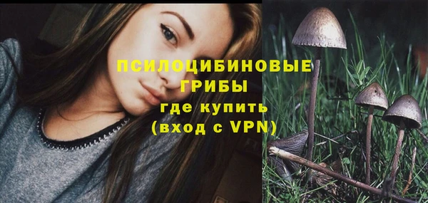 сатива Алексин