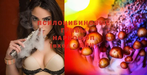 бошки Алзамай