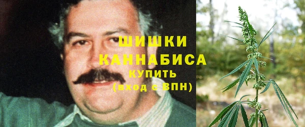сатива Алексин